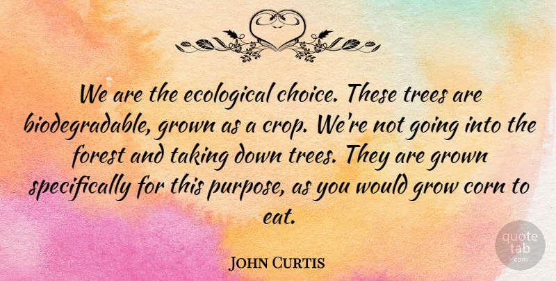 John Curtis Quote About Choice, Corn, Ecological, Forest, Grown: We Are The Ecological Choice...
