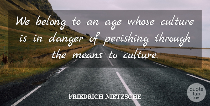 Friedrich Nietzsche Quote About Mean, Age, Culture: We Belong To An Age...