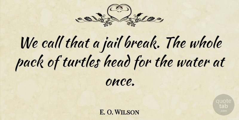 E. O. Wilson Quote About Call, Head, Jail, Pack, Water: We Call That A Jail...