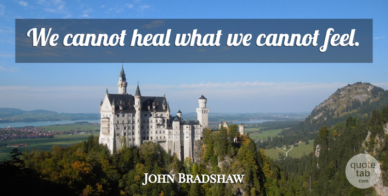 John Bradshaw Quote About Heal, Feels: We Cannot Heal What We...