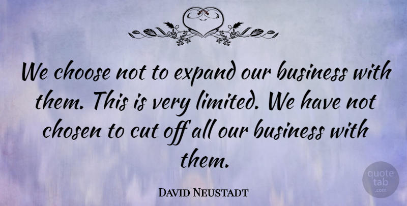 David Neustadt Quote About Business, Choose, Chosen, Cut, Expand: We Choose Not To Expand...