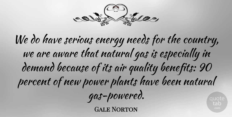 Gale Norton Quote About Country, Air, Quality: We Do Have Serious Energy...