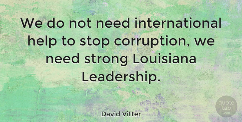 David Vitter Quote About Leadership, Strong, Louisiana: We Do Not Need International...