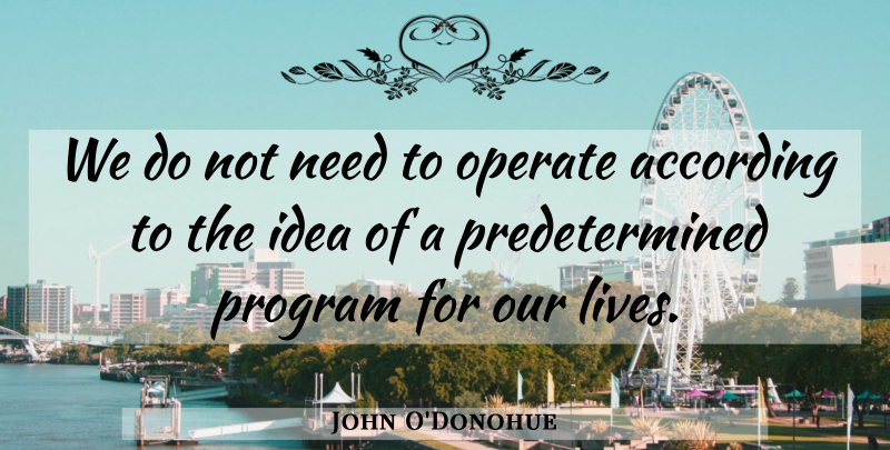 John O'Donohue Quote About Ideas, Needs, Program: We Do Not Need To...