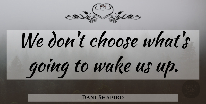 Dani Shapiro Quote About undefined: We Dont Choose Whats Going...