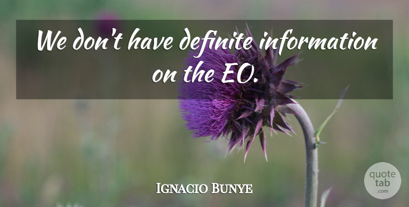 Ignacio Bunye Quote About Definite, Information: We Dont Have Definite Information...