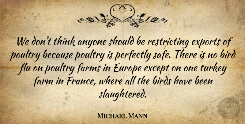 Michael Mann Quote About Anyone, Bird, Birds, Europe, Except: We Dont Think Anyone Should...