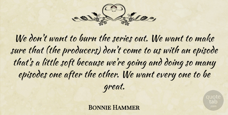 Bonnie Hammer Quote About Burn, Episode, Episodes, Series, Soft: We Dont Want To Burn...