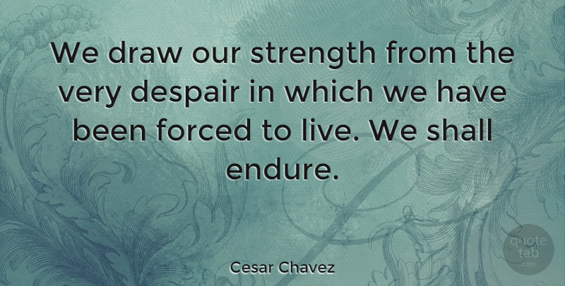 Cesar Chavez Quote About Strength, Struggle, Commitment: We Draw Our Strength From...