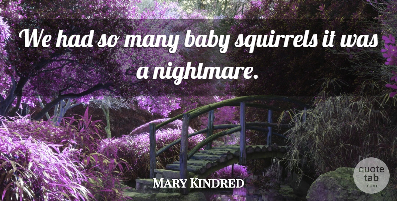 Mary Kindred Quote About Babies, Baby, Squirrels: We Had So Many Baby...