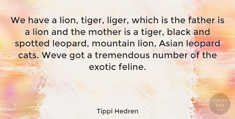 Tippi Hedren Quote About Asian, Black, Exotic, Leopard, Lion: We Have A Lion Tiger...