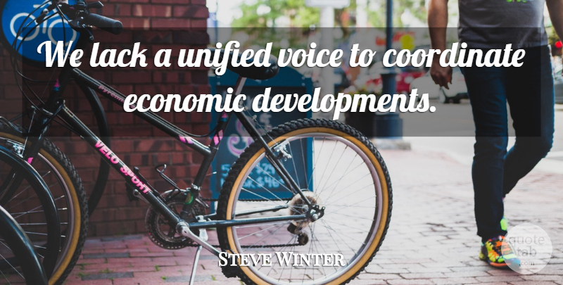 Steve Winter Quote About Coordinate, Economic, Lack, Unified, Voice: We Lack A Unified Voice...
