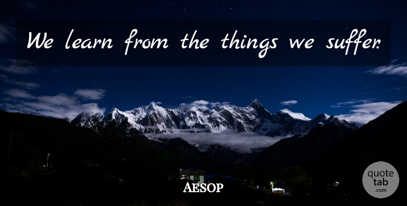 Aesop Quote About Suffering: We Learn From The Things...