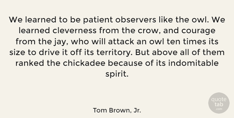Tom Brown, Jr. Quote About Nature, Native American, Owl: We Learned To Be Patient...