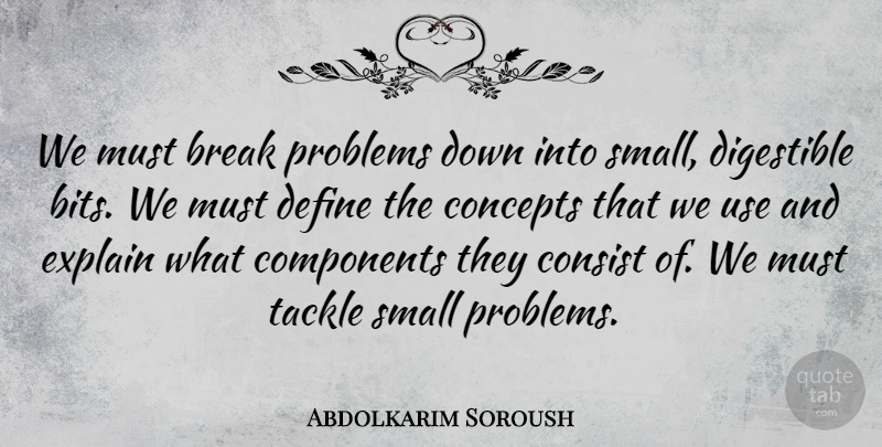 Abdolkarim Soroush Quote About Small Problems, Use, Break: We Must Break Problems Down...