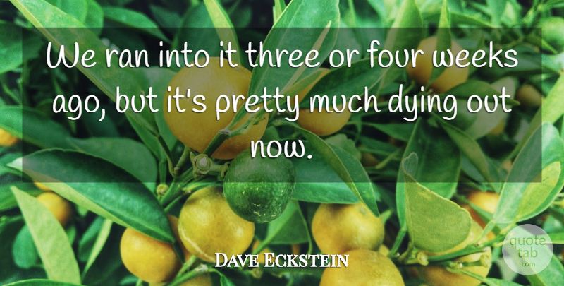 Dave Eckstein Quote About Dying, Four, Ran, Three, Weeks: We Ran Into It Three...