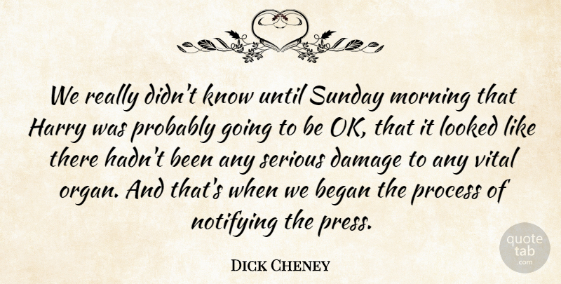 Dick Cheney Quote About Began, Damage, Harry, Looked, Morning: We Really Didnt Know Until...