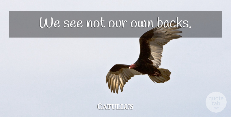 Catullus Quote About undefined: We See Not Our Own...