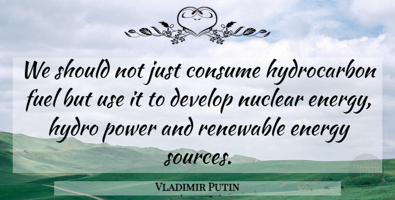 Vladimir Putin Quote About Consume, Develop, Fuel, Power, Renewable: We Should Not Just Consume...