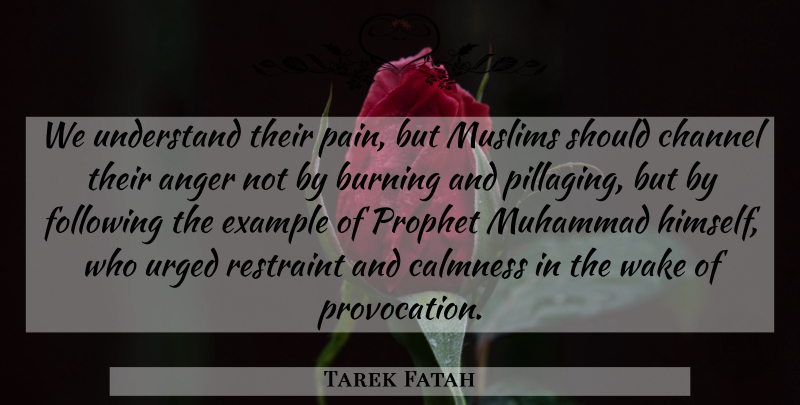 Tarek Fatah Quote About Anger, Burning, Calmness, Channel, Example: We Understand Their Pain But...
