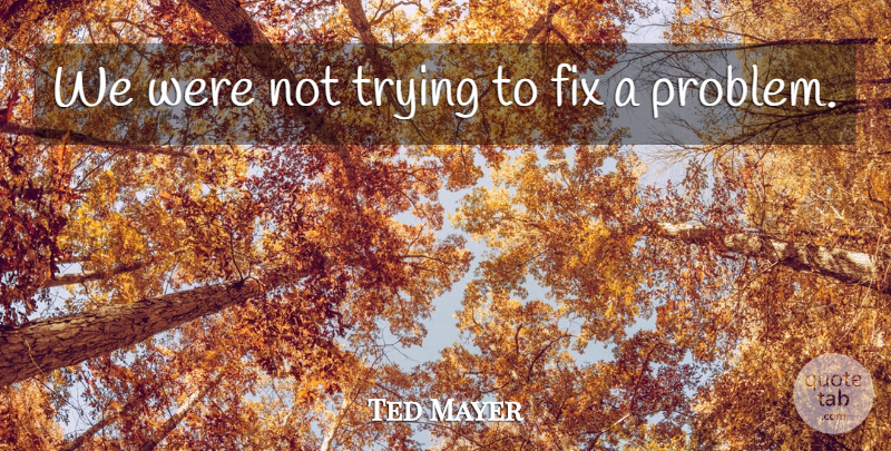 Ted Mayer Quote About Fix, Trying: We Were Not Trying To...