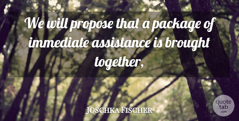 Joschka Fischer Quote About Assistance, Brought, Immediate, Package, Propose: We Will Propose That A...