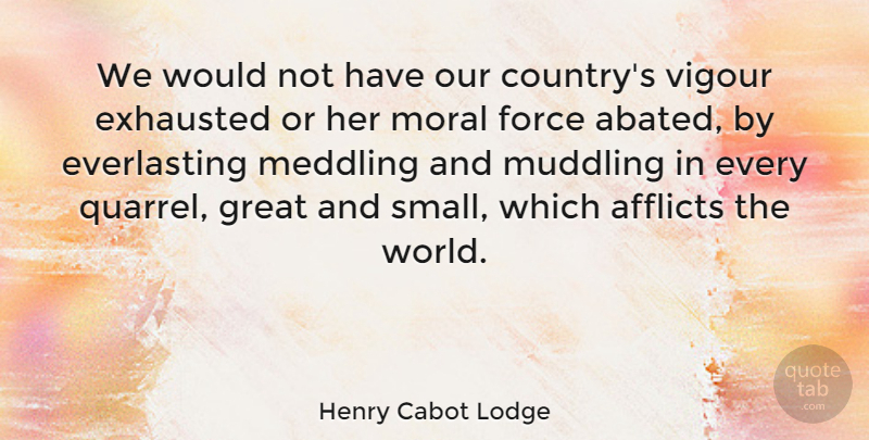 Henry Cabot Lodge Quote About Afflicts, Exhausted, Force, Great, Meddling: We Would Not Have Our...