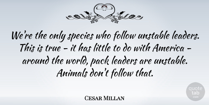 Cesar Millan Quote About America, Follow, Pack, Species, Unstable: Were The Only Species Who...