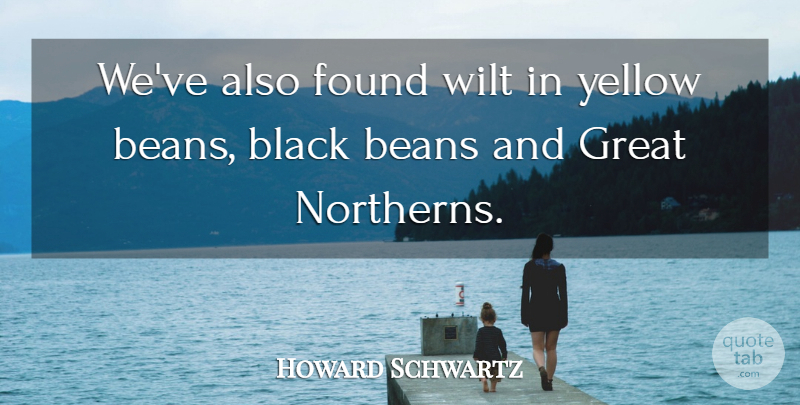 Howard Schwartz Quote About Beans, Black, Found, Great, Wilt: Weve Also Found Wilt In...