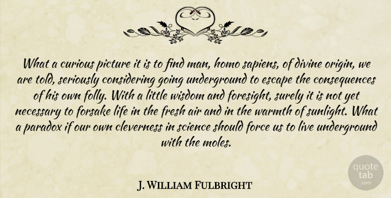 J. William Fulbright Quote About Men, Air, Moles: What A Curious Picture It...
