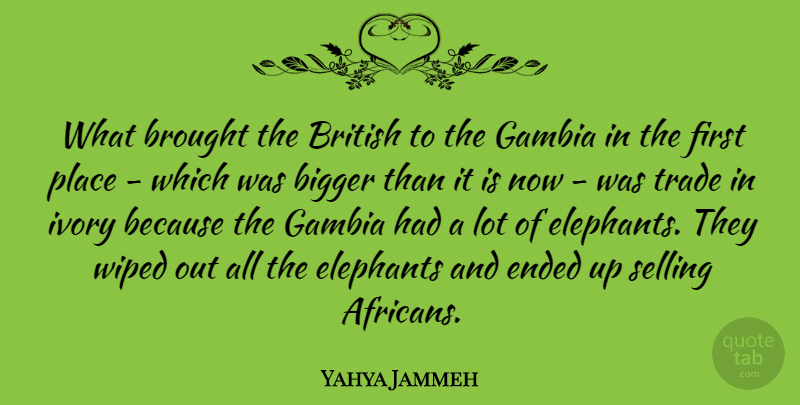 Yahya Jammeh Quote About Brought, Elephants, Ended, Ivory, Trade: What Brought The British To...