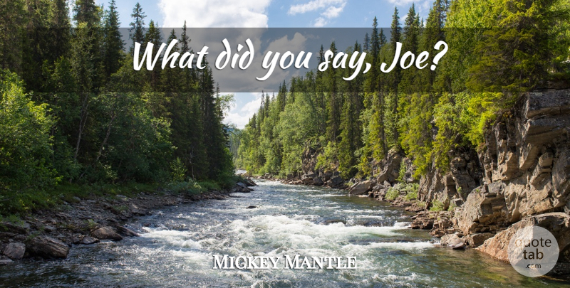 Mickey Mantle Quote About Baseball: What Did You Say Joe...