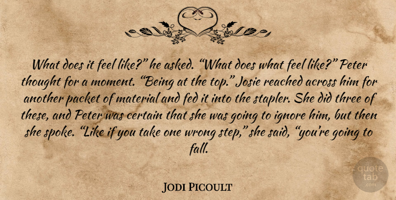 Jodi Picoult Quote About Fall, Three, Steps: What Does It Feel Like...