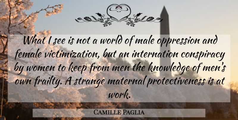 Camille Paglia Quote About Men, Female, World: What I See Is Not...