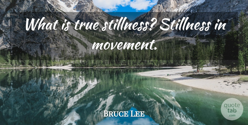 Bruce Lee Quote About Art, Movement, Martial Arts: What Is True Stillness Stillness...