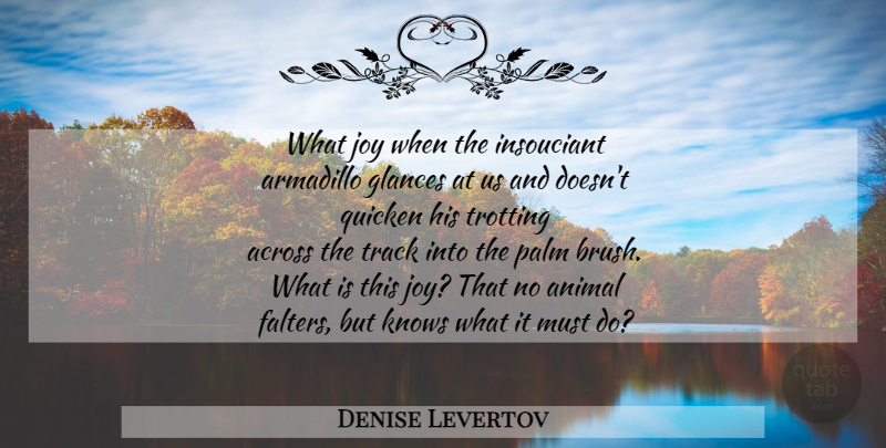 Denise Levertov Quote About Animal, Track, Joy: What Joy When The Insouciant...
