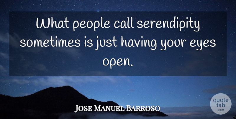 Jose Manuel Barroso Quote About Eye, People, Serendipity: What People Call Serendipity Sometimes...