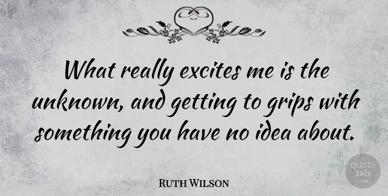 Ruth Wilson Quote About Ideas, No Idea: What Really Excites Me Is...