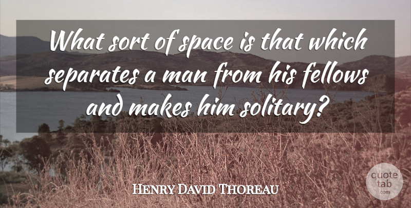 Henry David Thoreau Quote About Men, Space, Solitude: What Sort Of Space Is...
