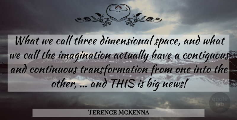 Terence McKenna Quote About Space, Imagination, News: What We Call Three Dimensional...