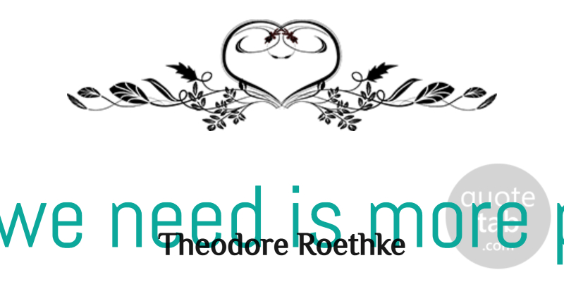 Theodore Roethke Quote About Inspirational, Faith, Teaching: What We Need Is More...