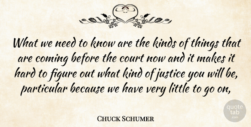 Chuck Schumer Quote About Coming, Court, Figure, Hard, Justice: What We Need To Know...