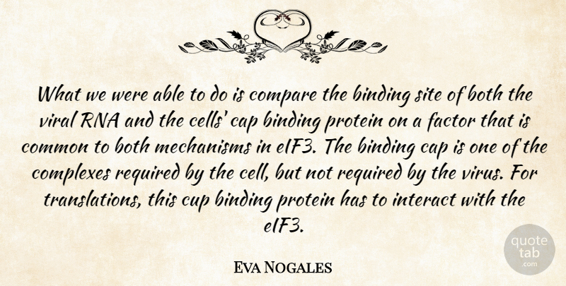 Eva Nogales Quote About Binding, Both, Cap, Common, Compare: What We Were Able To...