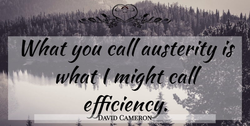David Cameron Quote About Might, Austerity, Efficiency: What You Call Austerity Is...