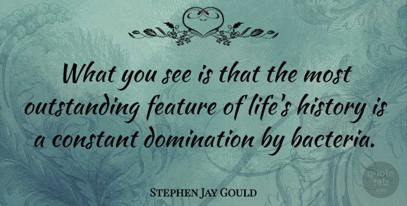 Stephen Jay Gould Quote About Bacteria, Outstanding, Domination: What You See Is That...