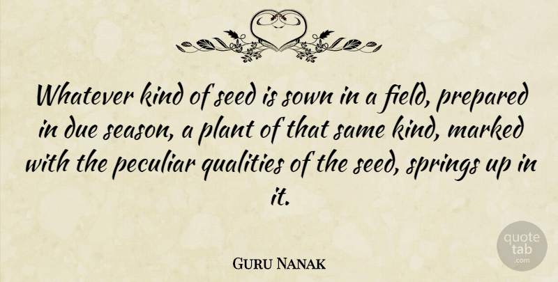 Guru Nanak Quote About Spring, Quality, Fields: Whatever Kind Of Seed Is...