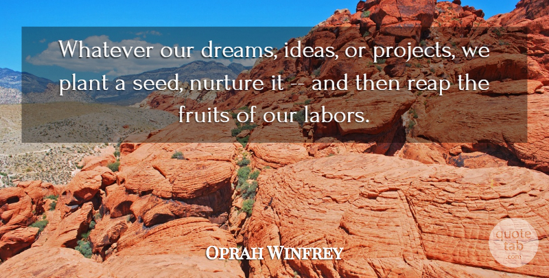 Oprah Winfrey Quote About Dream, Ideas, Fruit: Whatever Our Dreams Ideas Or...