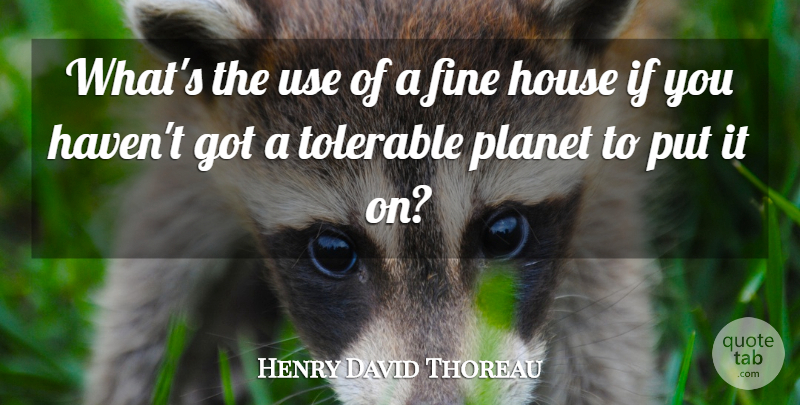 Henry David Thoreau Quote About American Author, Fine, House, Planet, Tolerable: Whats The Use Of A...