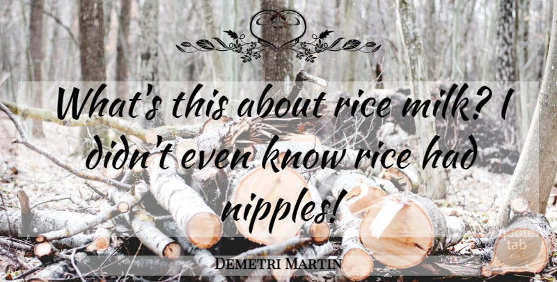 Demetri Martin Quote About Nipples, Milk, Rice: Whats This About Rice Milk...