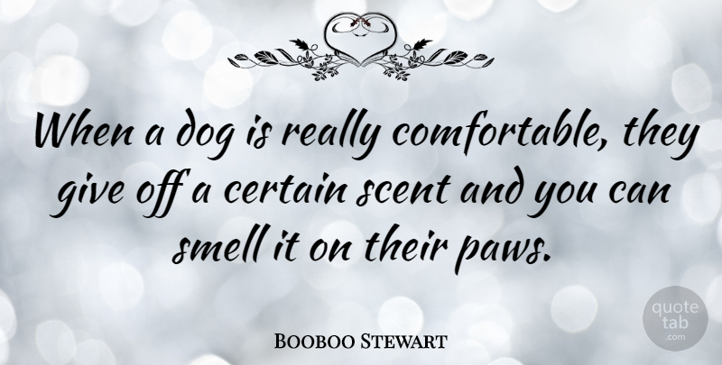 Booboo Stewart Quote About Dog, Smell, Giving: When A Dog Is Really...
